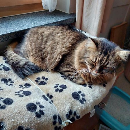 Bed & Breakfast Im Chellhof Benken  外观 照片